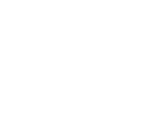 Mini Studio