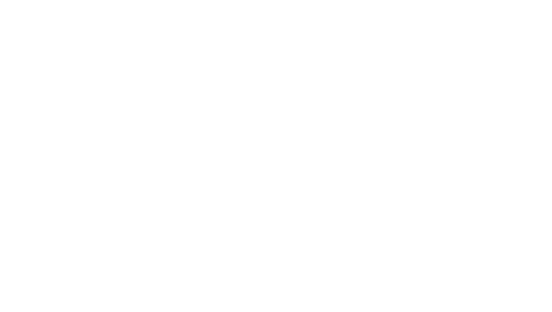 AVM Motion Picture Guild